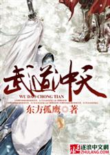 武道冲天TXT全集封面