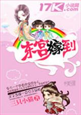 东宫嫁到TXT全集封面