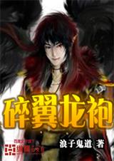 碎翼龙袍TXT全集封面