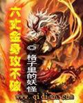 六丈金身攻不破TXT全集封面
