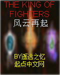 格斗之王之风云再起TXT全集封面