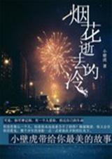 烟花逝去的冷TXT全集封面