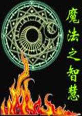 魔法之智慧TXT全集封面