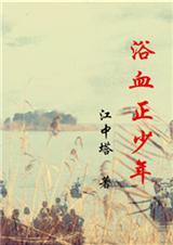 浴血正少年TXT全集封面