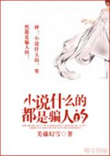 小说什么的都是骗人的TXT全集封面