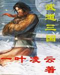 武道三国TXT全集封面