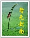 问鼎世界TXT全集封面