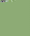 ²TXTȫ