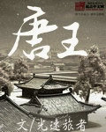唐王TXT全集封面