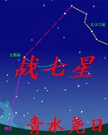 战七星TXT全集封面