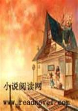 泡花TXT全集封面