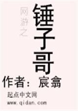 网游之锤子哥TXT全集封面