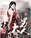 极品大男人TXT全集封面