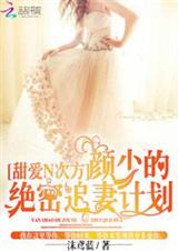 甜爱n次方:颜少的绝密追妻计划TXT全集封面