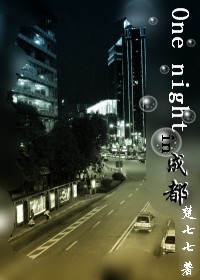 one night in 成都TXT全集封面