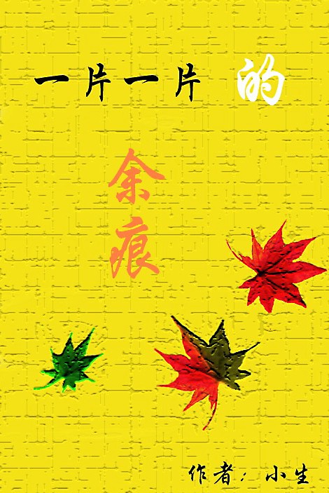 一片一片的余痕TXT全集封面