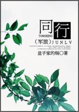同行(军旅)TXT全集封面