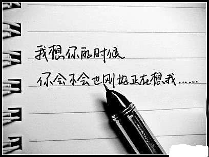 gay路历程TXT全集封面