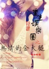 重生娱乐圈之无情的金大腿TXT全集封面