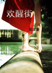 欢醒街TXT全集封面