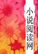 逃跑总裁妻之总裁大人好眼熟TXT全集封面