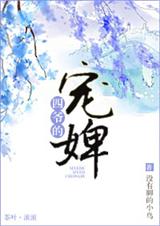 四爷的宠婢TXT全集封面