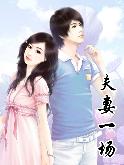 夫妻一场TXT全集封面