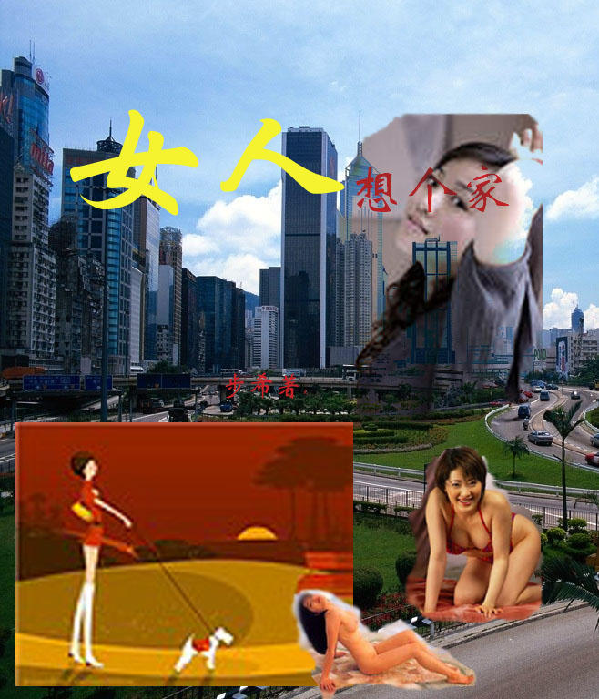 女人想个家TXT全集封面