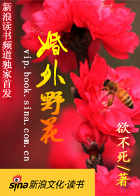 婚外野花:求爱离婚后TXT全集封面