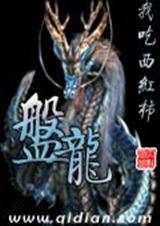 盘龙全文TXT全集封面