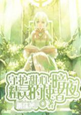 守护甜心之暗夜精灵的TXT全集封面