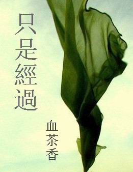 只是经过TXT全集封面