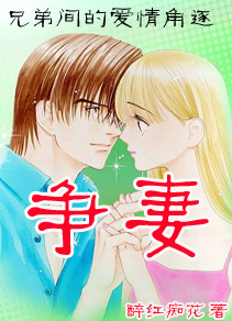 争妻TXT全集封面