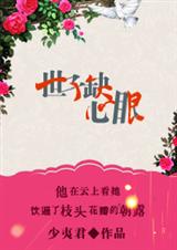 岁宴-世子缺心眼TXT全集封面