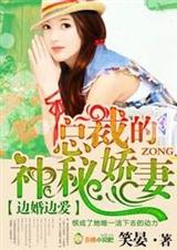 边婚边爱,总裁的神秘娇妻TXT全集封面