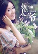 苏向晚的太子爷TXT全集封面