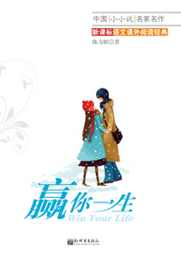 赢你一生TXT全集封面