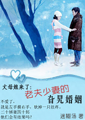 丈母娘来了:老夫少妻的旮旯婚姻TXT全集封面
