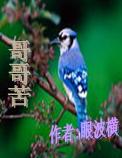 哥哥苦TXT全集封面