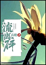 流离碎TXT全集封面