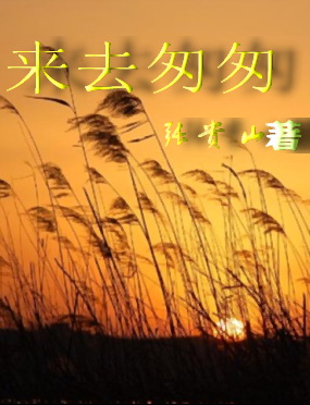 来去匆匆TXT全集封面