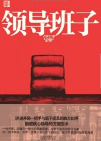 新任一把手与班子成员腕力比拼:领导班子TXT全集封面
