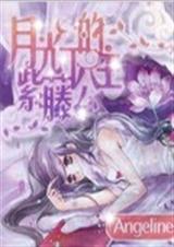 月光下的紫藤公主TXT全集封面