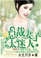 总裁妻子太迷人TXT全集封面