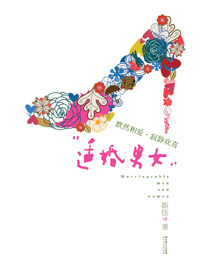 四大剩女婚恋故事:适婚男女TXT全集封面