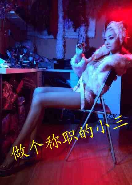 做个称职的小三TXT全集封面