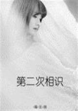 第二次相识TXT全集封面