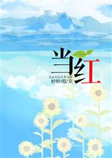 当红TXT全集封面