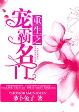 重生之宠霸名门TXT全集封面