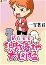 钻石宝宝:总裁爹地太凶猛(完结)TXT全集封面